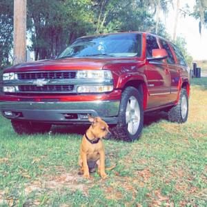 Meet your Posher, Paxton